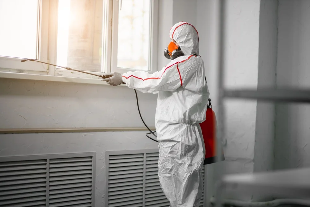 Professional mold remediation services in Mahwah, NJ